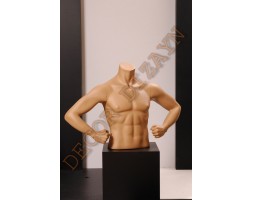 Polyester Bust Mannequin - Male